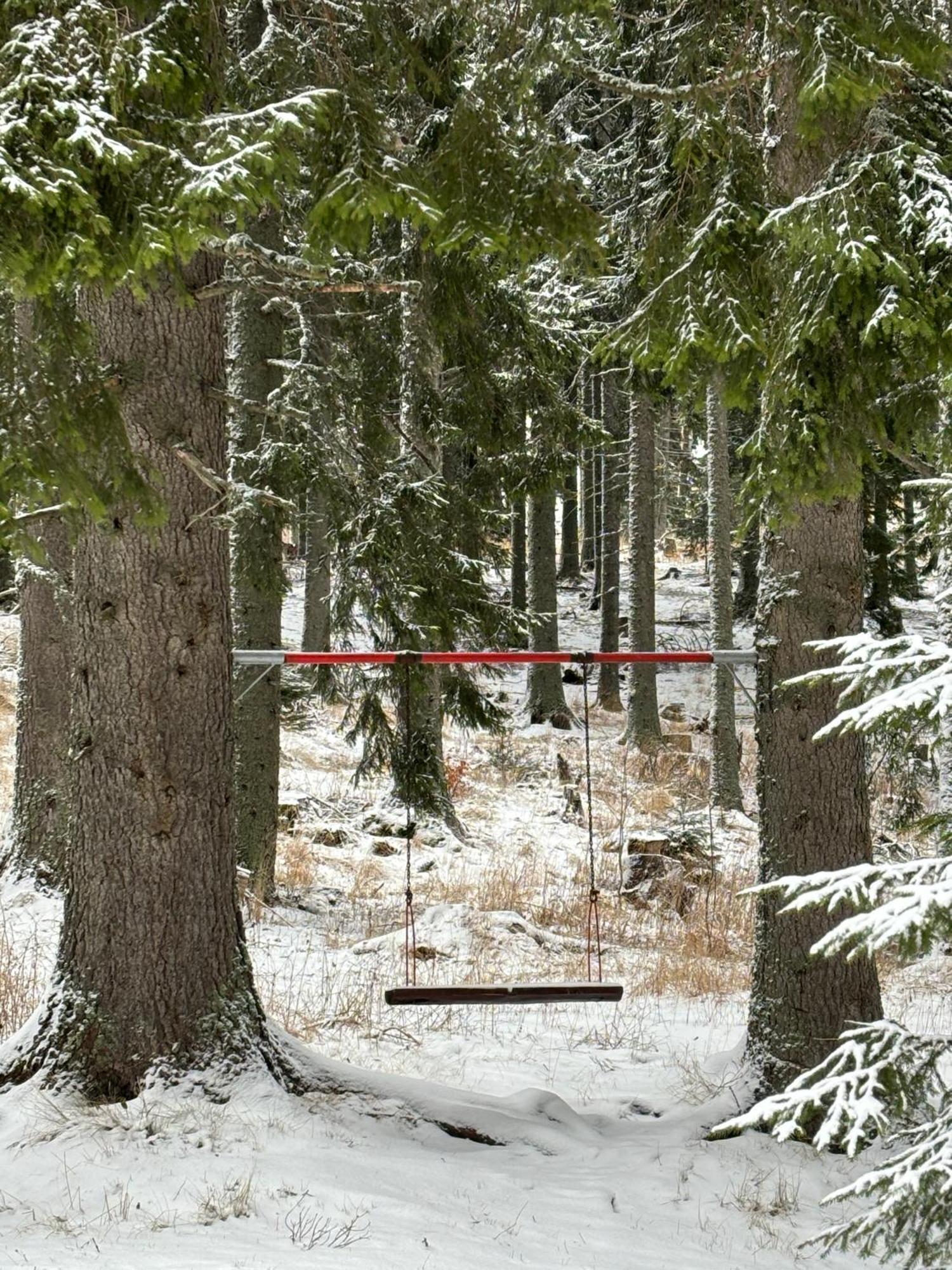 Forest Edge